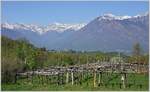 Im Valle Vigezzo bei Trontano mit Blick auf die italienische Alpen, im Hintergrund ist die Kirche von Trontano zu sehen.
(14.04.2014)