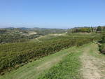 Weinberge bei Albugnano in der Provinz Asti, Piemont (04.10.2018)