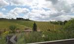 Die Landschaft  um San Gimignano, Foto am 20.5.2014  