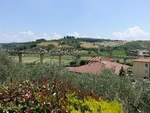 Hügel bei Castelfiorentino in der Toscana im Elsatal (17.06.2019)