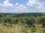 Ausblick von der Stadtmauer von Monteriggioni (17.06.2019)