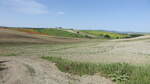 Felder beim Ort San Quirico d´Orcia, Toskana (21.05.2022)