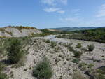 Fluss Fiume Orcia bei Castiglione, Toskana (21.05.2022)