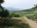 Ausblick auf den Monte Prena in den Abruzzen (27.05.2022)