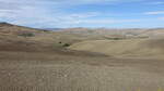 Landschaft bei Irsina, Basilikata (29.09.2022)