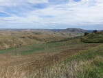 Landschaft entlang der Landstraße SS96 bei Irsina (29.09.2022)