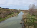 Fluss Basento bei Bernalda, Provinz Matera (01.03.2023)