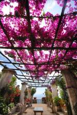 Im Garten bei Villa Cimbrone bei Ravello.