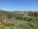 Landschaft bei San Demetrio Corone, Kalabrien (06.04.2024)