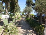 Tropea, Giardino Panoramico am Kloster St. Maria dell Isola (09.04.2024)