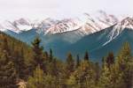 Blick über Mount Revelstoke National Park. Aufnahme: Mai 1987 (digitalisiertes Negativfoto).