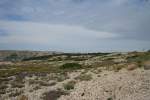 Blick ber die leicht hgelige Landschaft der Insel Rab. 30.05.2010.