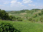 Kroatien, Weinberge bei Plesivica am Samobor Berg (01.05.2017)