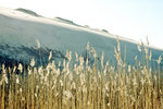 Die Hohe Düne auf der Kurischen Nehrung südlich von Nida (deutsch: Nidden).