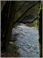 Die Wiltz zwischen Merkholtz und Kautenbach. 03.04.2012 (Jeanny)