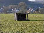 Der alte windschiefe Schuppen zwischen Lintgen und Mersch wurde noch nicht vom Wind weg geweht.