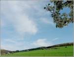 Der Frhling ist auch in Luxemburg angekommen. Blick aus unserem Fenster in Erpeldange/Wiltz am 19.04.09. (Jeanny)