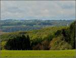 Der herbstlich gefrbte Wald im Norden von Luxembourg.