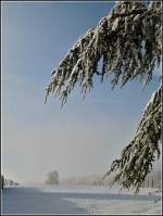 Winterliche Landschaft in Berl am 31.12.2010 (Jeanny)