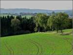 In der Nhe von Knapphoscheid bietet sich die Gelegenheit einen Blick in Richtung Eschweiler zu werfen. 26.10.2010 (Jeanny) 