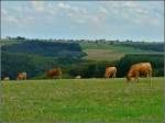 Aussicht auf Hoscheid aufgenommen in der Nhe von Consthum am 01.08.2010 (Jeanny)