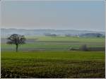 Vorfrhlingshafte Landschaft in Richtung Allerborn.