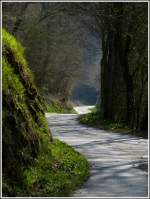 Waldweg zwischen Merkholtz und Kautenbach.