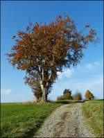 Herbst in Kaundorf.