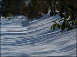 . Der Winter ist zurck - Blick in unseren Garten am 13.03.2013. (Jeanny)