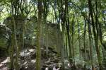 Am Wanderweg von Berdorf nach Waldbillig durch La Petite Suisse (Kleine Luxemburger Schweiz).