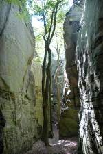 Die enge Roitzbach-Schlucht in La Petite Suisse (Kleine Luxemburger SChweiz). Aufnahme: August: 2007.