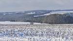 Winterlandschaft im Norden von Luxemburg, (ca.500 m Meereshöhe),  Blick nahe Munshausen über die Verschneite Berglandschaft in Richtung Weicherdange.