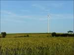 Im Vordergrund reift der Weizen, whrend im Hintergrund die Heuballen fein suberliche aufgereiht sind.