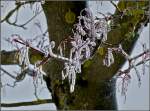 Eisskulpturen von der Natur gemacht, aufgenommen in der Nhe von Holzthum am 25.12.2010 (Jeanny)