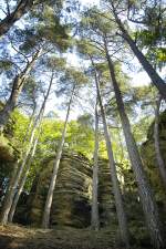 La Petite Suisse/Kleine Luxemburger Schweiz: Sandsteinfelsen im Wald bei Berdorf. Aufnahme: August 2007.