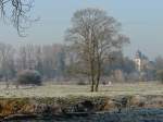 Dieser Baum steht am Ufer der Alzette bei Berschbach (Luxemburg). Im Hintergrund sieht man links die Kirche von Mersch und rechts den alten Glockenturm. 22.12.07