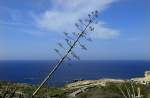 Blick über die Westküste von der Insel Gozo (Malta). Aufnahme: Oktober 2006.