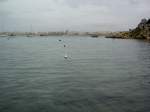 Malta, Mistra Bay bei Buggiba (23.03.2014)