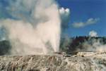 Der weltberühmte Pohutu Geysir in Whakarewarewa südlich von Rotorua, bricht 1-2 mal pro Stunde aus und kann eine Höhe von bis zu 30 Meter erreichen.