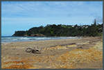 Sandy Bay nahe des kleinen Ortes Matapouri.