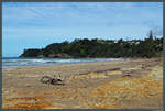 Sandy Bay nahe des kleinen Ortes Matapouri. (11.10.2016)