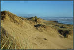 Dünen am Ninety Mile Beach, welcher sich 88 km entlang der Nordspitze der Neuseeländischen Nordinsel bis zum Cape Reinga zieht.