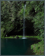 Kaiate Falls bei Tauranga. (16.10.2016)