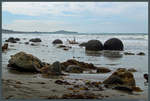 Mehrere der eigenartigen Kugeln der Moeraki Boulders.