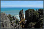 Die Pancake Rocks bei Punakaiki haben ihren Namen aufgrund des schichtförmigen Gesteins erhalten. Durch die Brandung entstanden zahlreiche Röhren und Löcher im Gestein, auch als Blowholes bezeichnet. (22.10.2016)