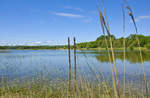 Am See »Baggelhuizer Plas« östlich von der Stadt Assen in Drenthe, Holland/Niederlande.