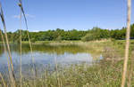 Am See »Baggelhuizer Plas« östlich von der Stadt Assen in Drenthe, Holland/Niederlande. Aufnahme: 25. Mai 2017.