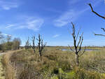 Der Nationalpark Dwingelderveld ist ein Schutzgebiet in den Niederlanden.