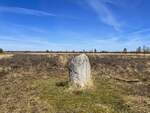 Im Nationaalpark Dwingelderveld in den Niederlanden. Ab Mitte des 19. Jahrhunderts wurde der nördliche Teil des heutigen Nationalparks aufgeforstet. Beim Lheeder- en Lheebroekerzand treffen Sie auf schöne Tannenwälder. Auch in den Waldgebieten liegen idyllische Moortümpel und kleine Heidegebiete verborgen, zum Beispiel das Zandveen oder das Groote veen.
Aufnahme: 15. April 2022.