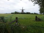 Molen de Hond auf einer Wiese bei Paesens (27.07.2017)